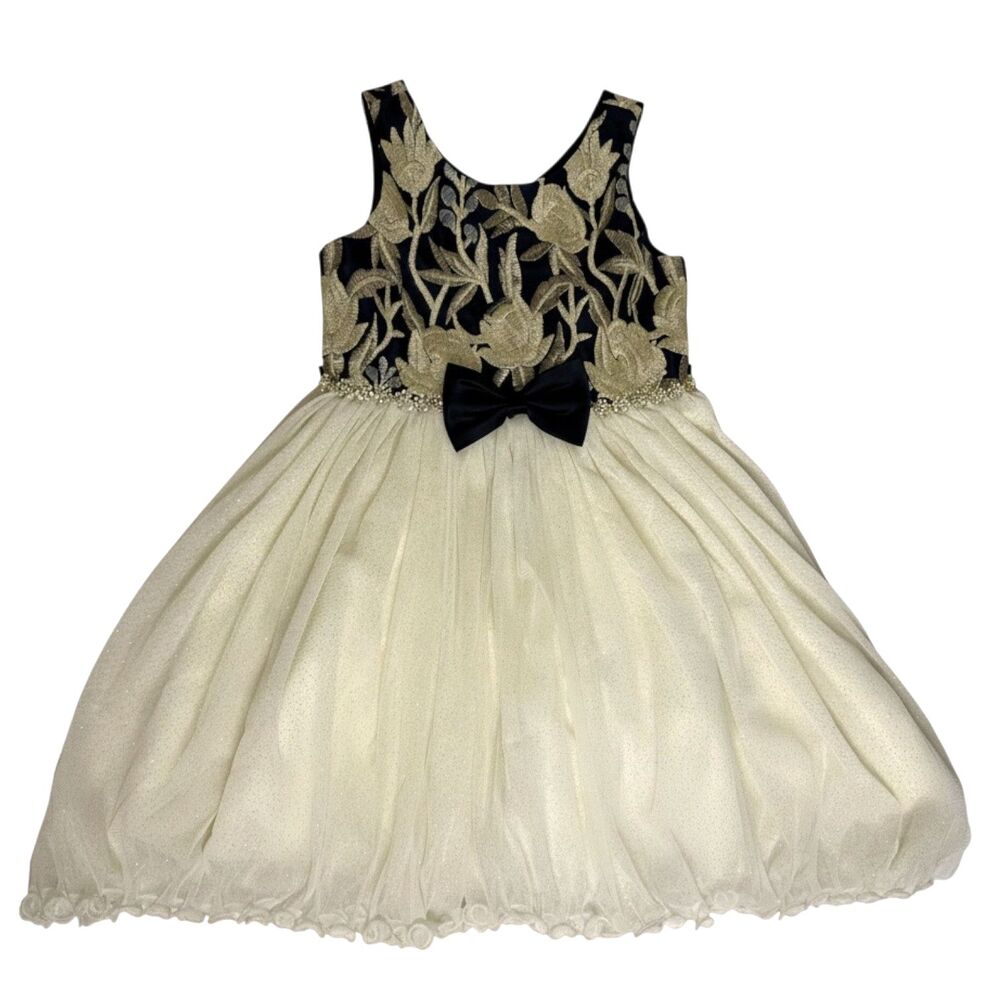 American Princess Girls Dress Embroidered Tulle Netting Blue Gold 8